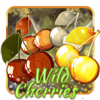 WildCherries